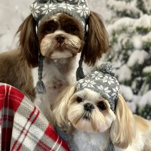 Meet your Posher, Danny